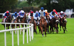 horse racing gambling