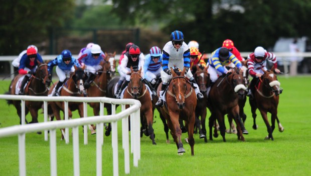online horse racing gambling