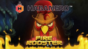 Fire Rooster