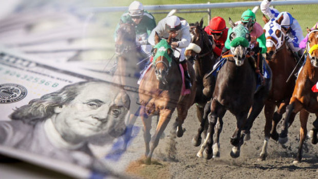 online horse race gambling