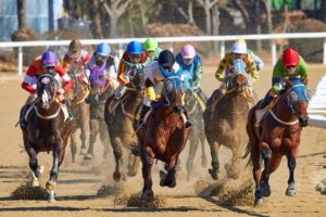 5 Best Horse Betting Tips and Strategies