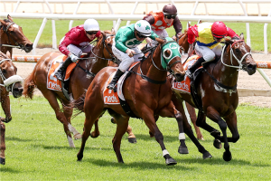 Australian Free Horse Racing Tips