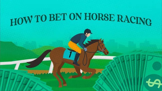 Guide to Betting on Horse Racing